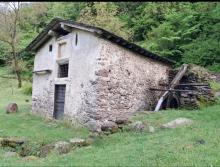 Borgogna - Roncobello immagine