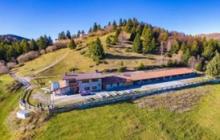 Malgalonga immagine 1