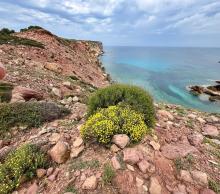 Isola_Minorca_immagine_1