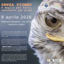 Il piombo negli animali