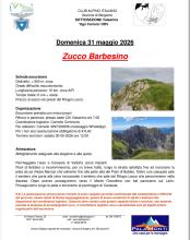 Zucco Barbesino 