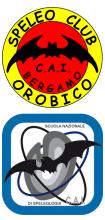 logo SCO e SNS