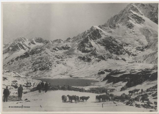 Passo del Gavia
