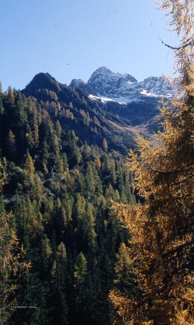 Pagliari: la memoria nella pietra