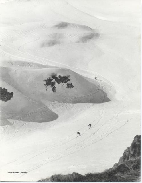 Trofeo Parravicini 1965