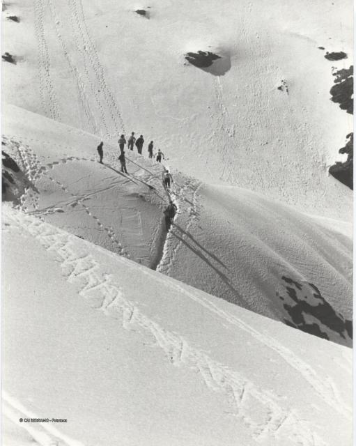 Trofeo Parravicini 1974