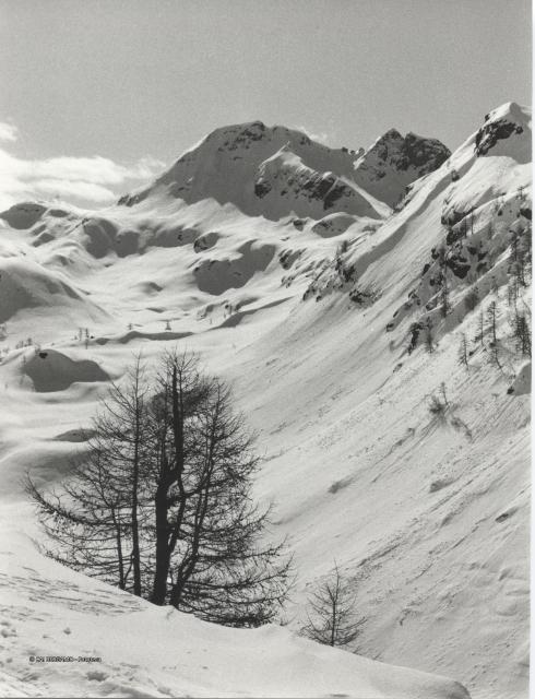 Trofeo Parravicini 1985