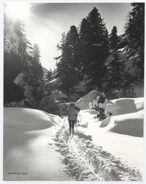 Sci di fondo in Engadina