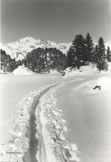 Sci di fondo in Engadina