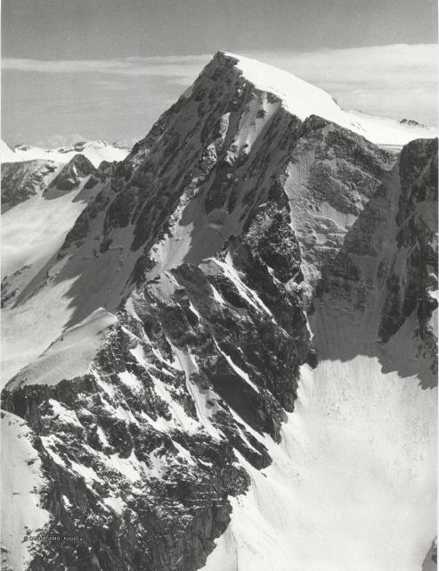 Gruppo Adamello - Presanella