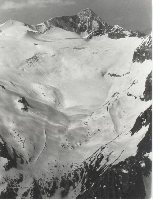 Gruppo Adamello - Presanella