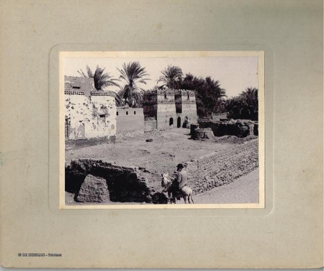 Egitto viaggio in…