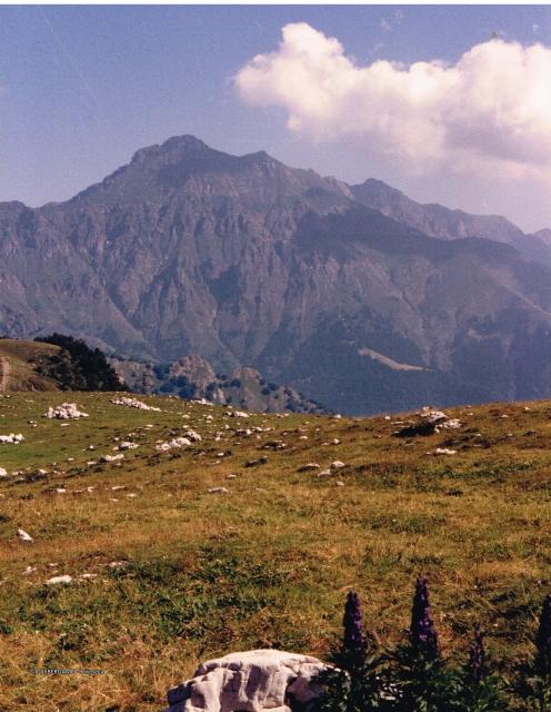 Alpi Orobiche