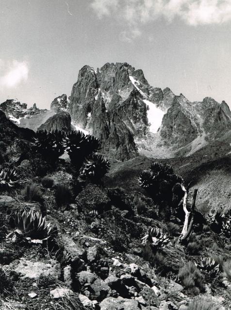 Monte Kenya