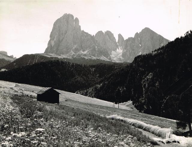 Dolomiti