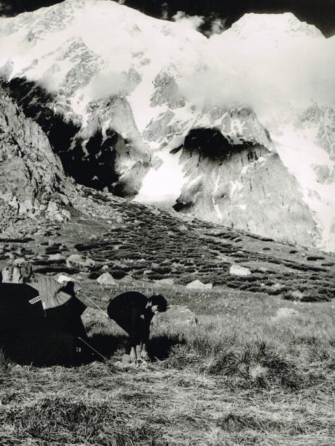 Spedizione Nanga Parbat 1981