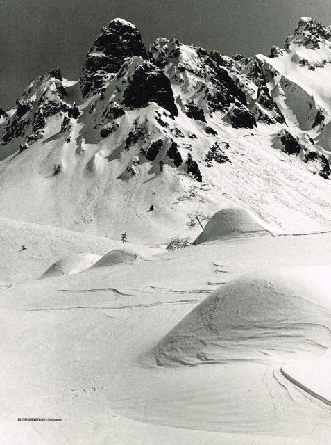 CAMPELLI DI SCHILPARIO