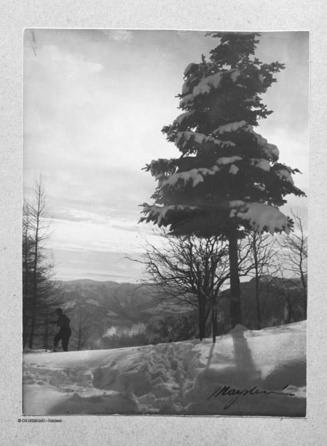 Album Fotografico Nr. 1 - anni 1910/29