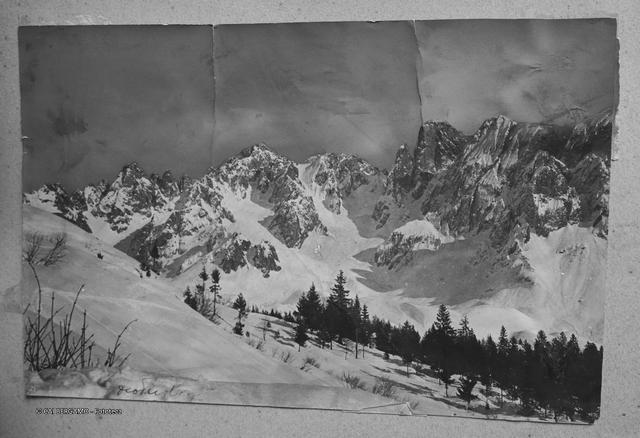 Album Fotografico Nr. 1 - anni 1910/29