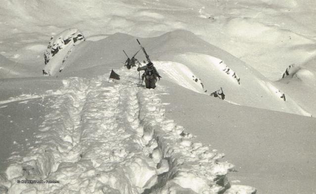 Trofeo Parravicini 1952