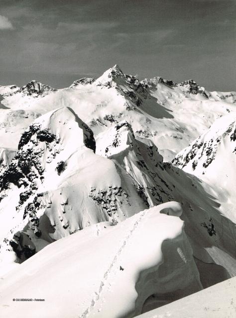 Trofeo Parravicini 1990