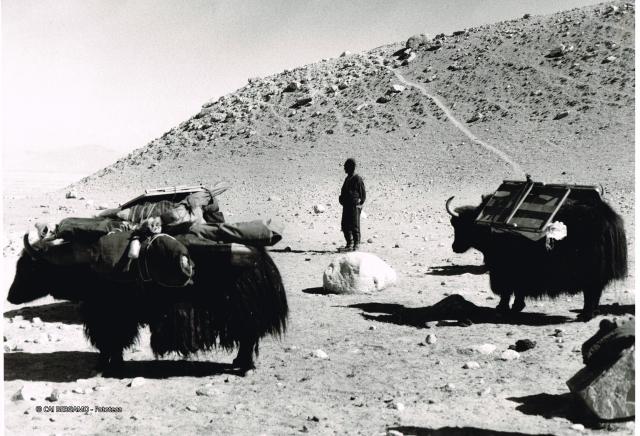 Mostra Himalaya 2000 di Giancelso Agazzi