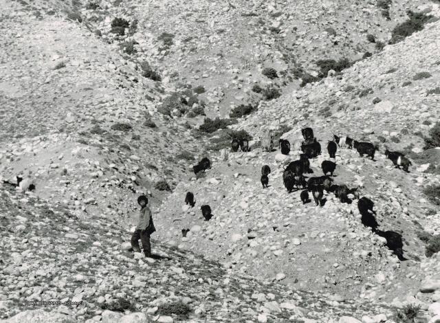 Mostra Himalaya 2000 di Giancelso Agazzi