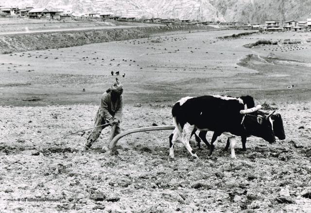 Mostra Himalaya 2000 di Giancelso Agazzi