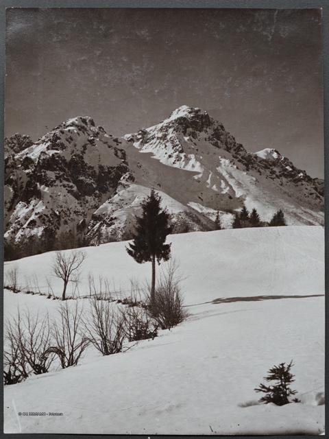 Album Fotografico Nr. 2 - anni 1920/29