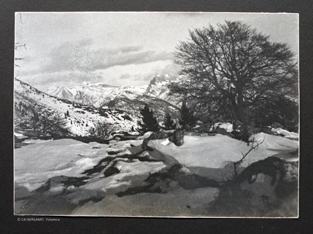 Album Fotografico Nr. 2 - anni 1920/29