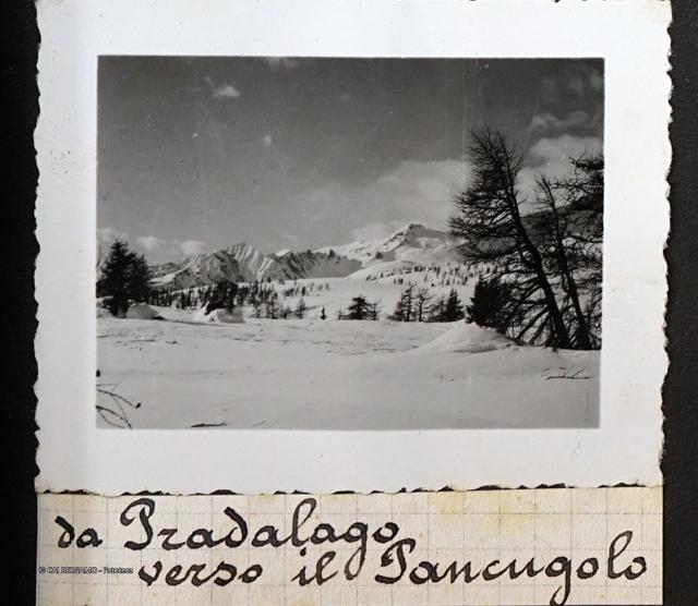 Album Fotografico Nr. 2 - anni 1920/29