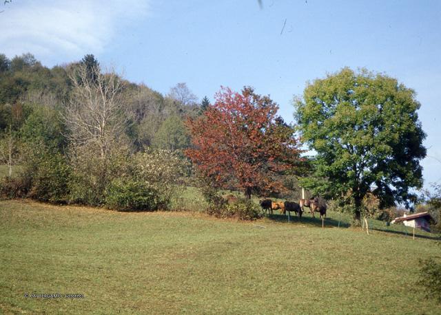 A spasso sopra San Pellegrino Terme