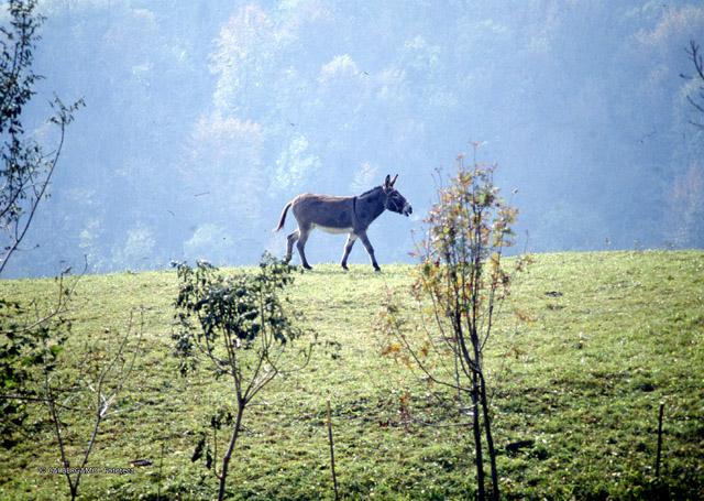 A spasso sopra San Pellegrino Terme