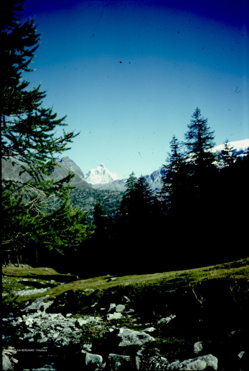 Vista in lontananza sul Cervino