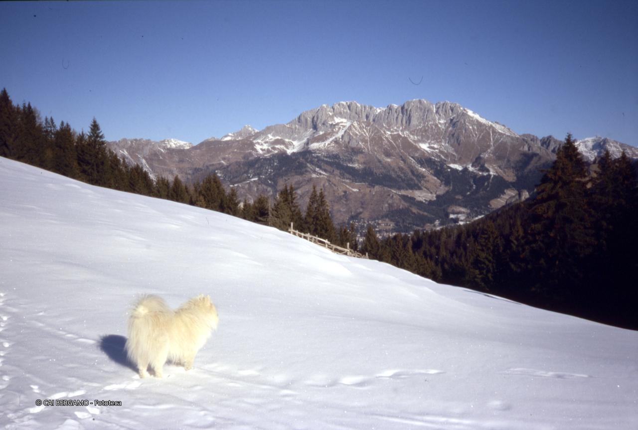 Vista sulla bellissima Presolana
