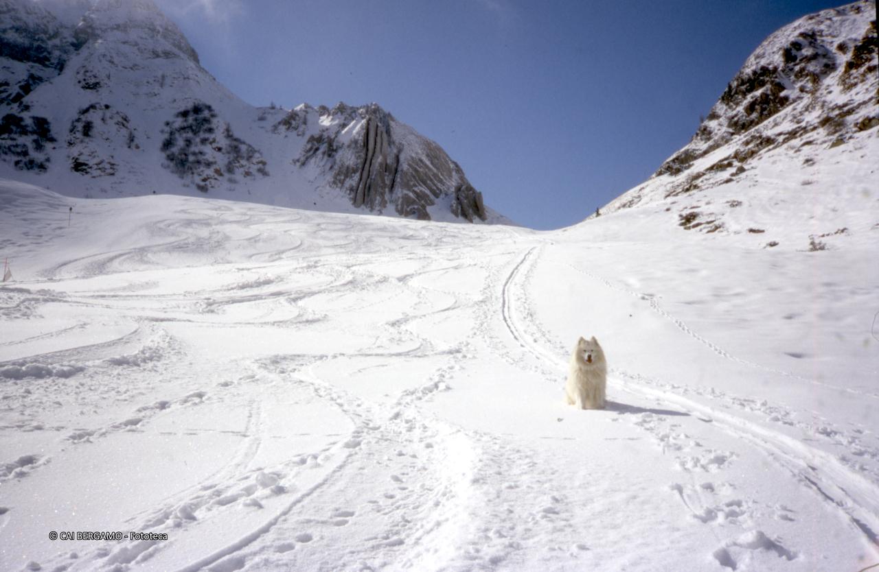 Dal passo S.Simone serpentine nella neve fresca con scorcio sulle canne d'organo