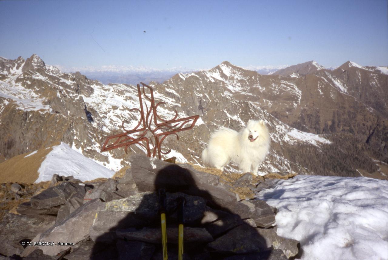 Croce in cima al Monte Valletto ai piani dell'Avaro con vista sul piano Piazzotti
