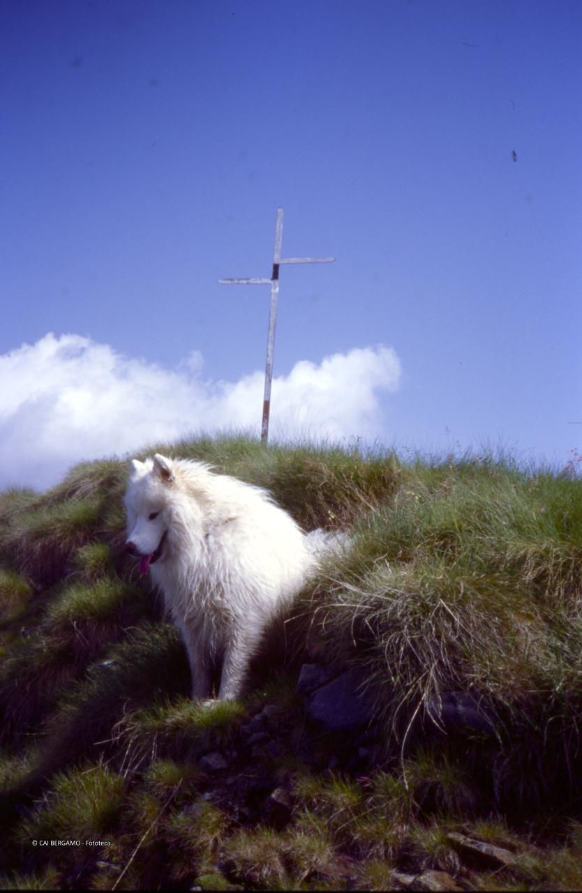 Croce sul Monte Toro