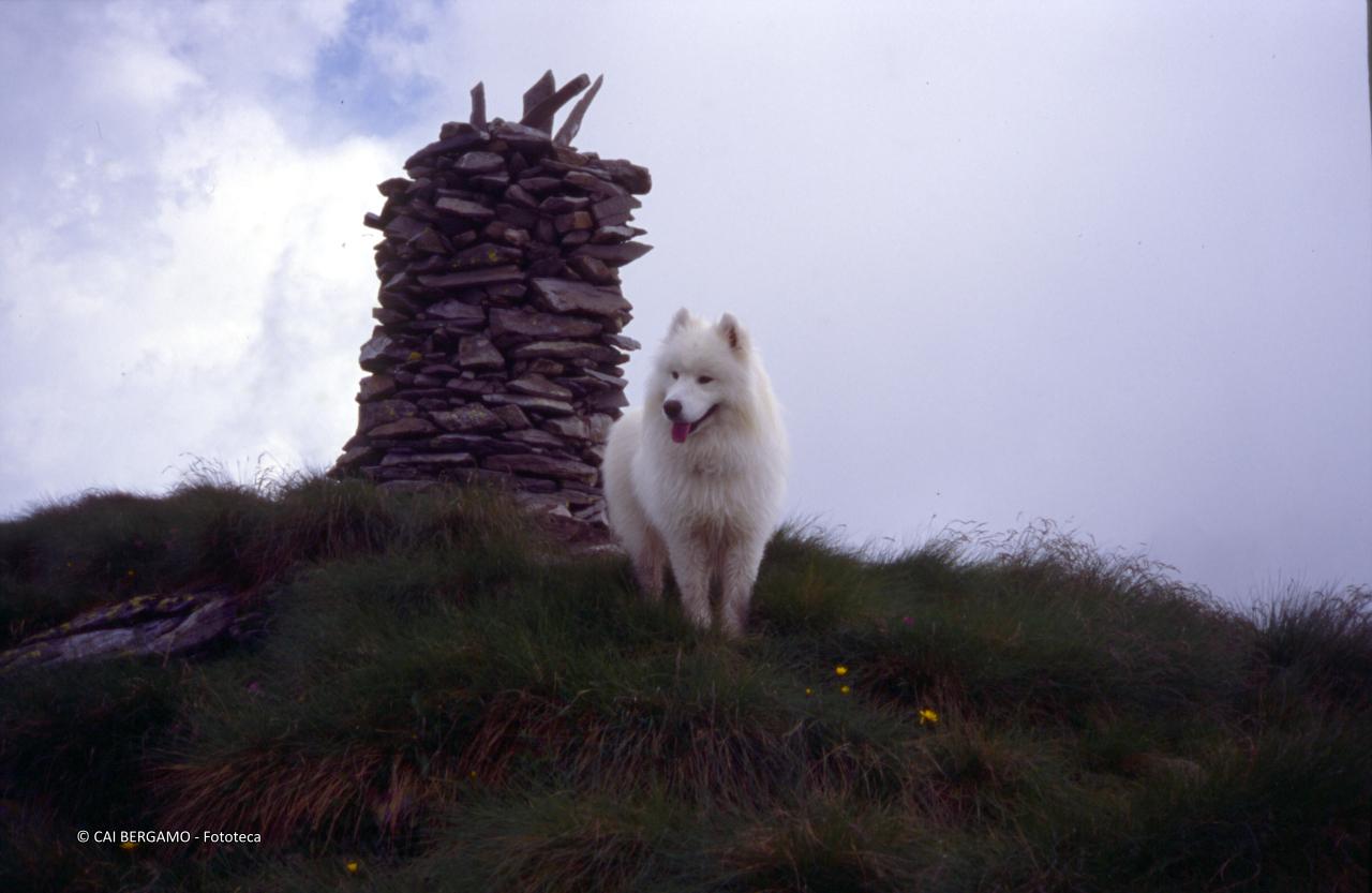 Omino in vetta al Monte Busma