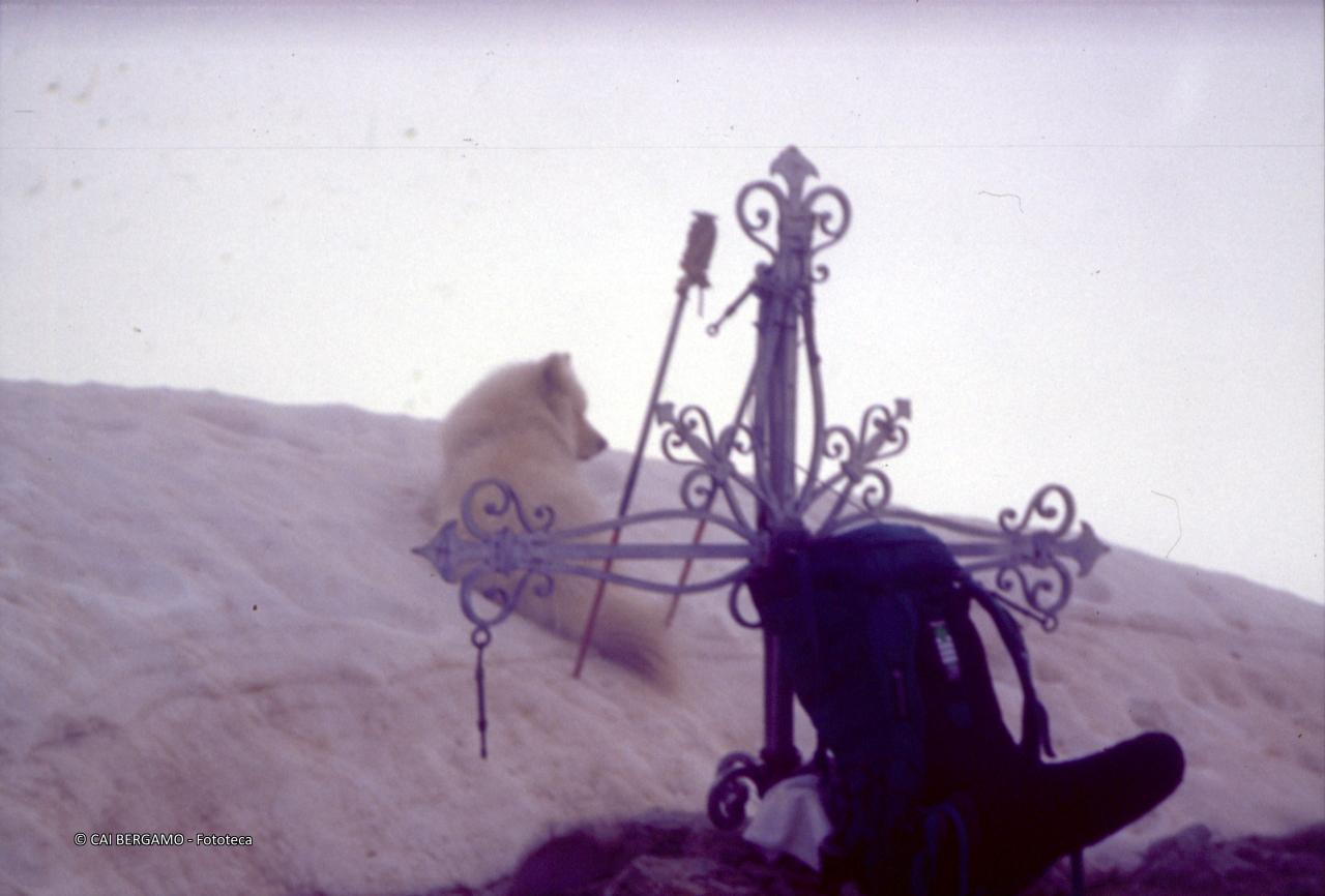 La croce che spunta dalla neve