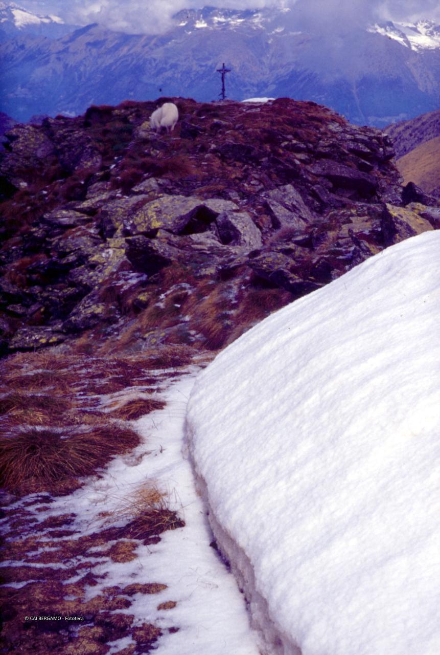 In vista della croce sulla cime del Vallocci