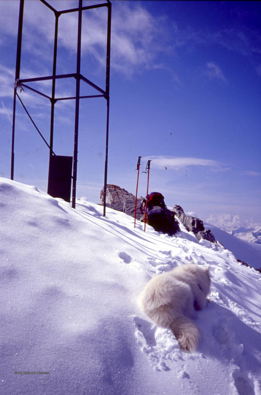 In vetta alla Punta degli Spiriti, con il cane Nero a riposo nella neve