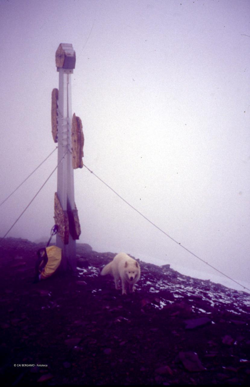 Croce in vetta al Pizzo Tresero