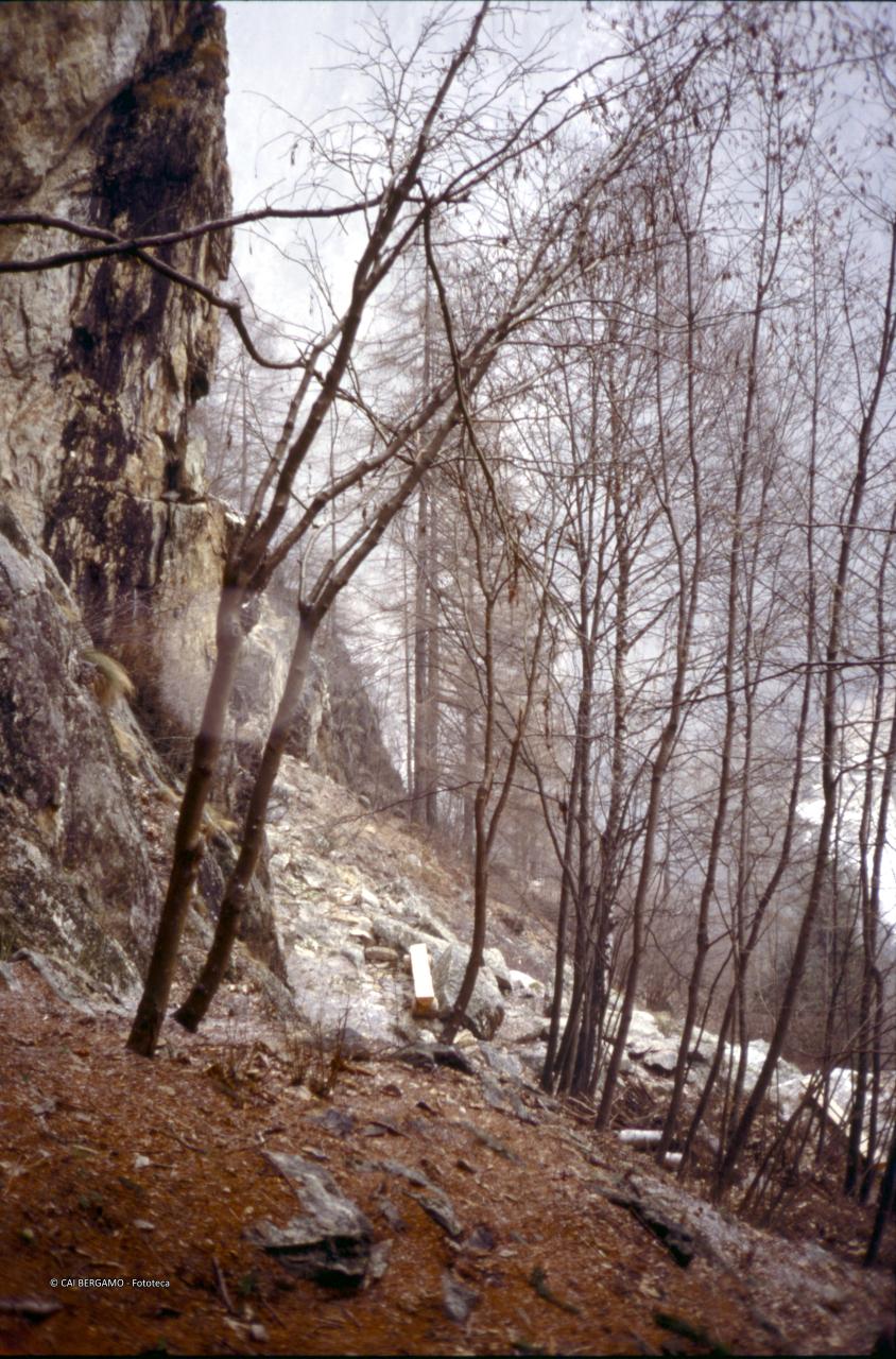 Palestra roccia: Falesia la Corna