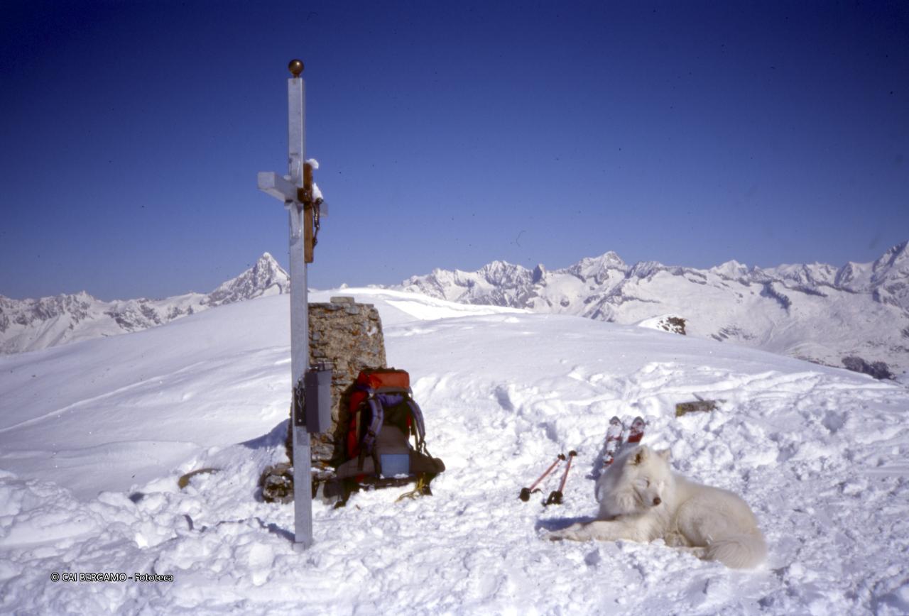 Croce in vetta al Spitzhorli, e scorcio sul Bietschorn ed altre cime