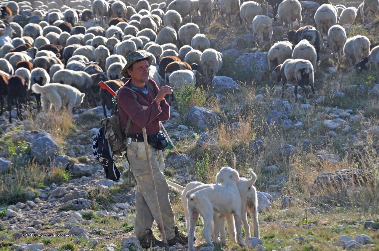"Partenza" - segnalato in "Ambienti montani"