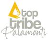 Logo Top Tribe
